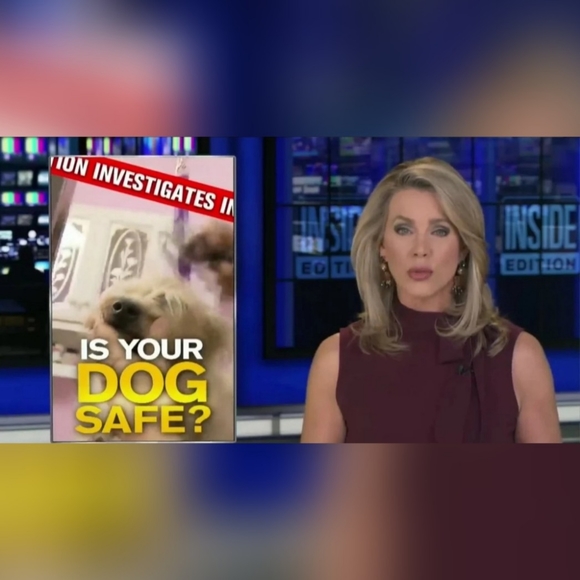 T-shirt Justice For "TT" The Service Dog - Picture 5 of 8